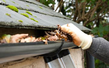 gutter cleaning Lundy Green, Norfolk